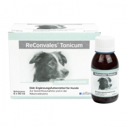 Alfavet ReConvales Tonicum Pies 1x 90 ml - Tonik wspomagający niejedzące psy (6 butelek po 90 ml)