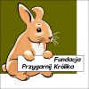 POMOC KRÓLIKOM - ZBIÓRKA