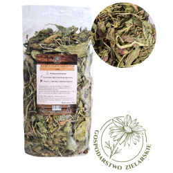 Factoryherbs LIŚĆ BABKA SZEROKOLISTNA 500G GOSPODARSTWO ZIELARSKIE (babka szerokolistna)