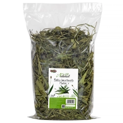 Alegia BABKA LANCETOWATA 300 G