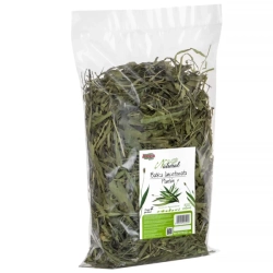 Alegia BABKA LANCETOWATA 300g