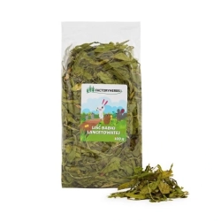 Factoryherbs BABKA LANCETOWATA 100g (liść babki lancetowatej)