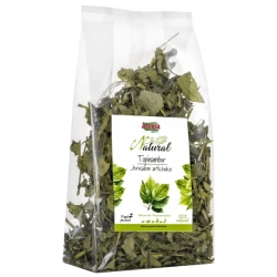 Alegia Natural TOPINAMBUR SUSZONY 100g