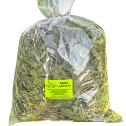 WYRWISUSZ BABKA LANCETOWARA 500g