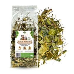 SAMFARM LIŚCIE POZIOMKI 100g